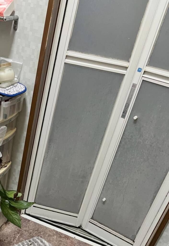 脱衣所に観葉植物を飾りました