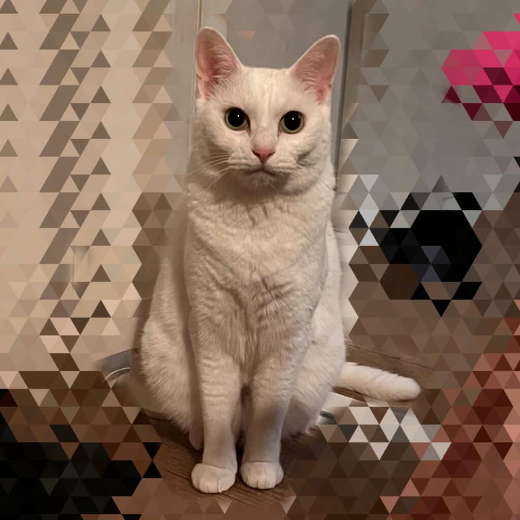 「しばらくこの状態で見つめてきたけどどうしたの」