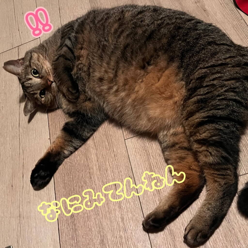 「栄養たくさん吸収しちゃうタイプ」