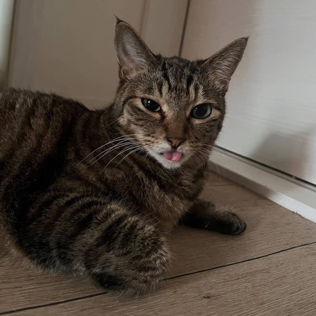 「横見たら……出てる!!!!」