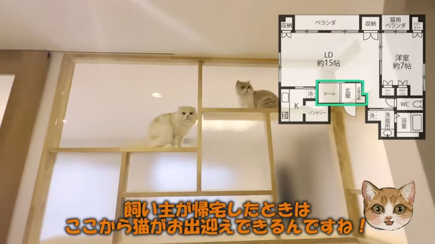 玄関ホールに入ってきた人間をガラス越しにながめる猫