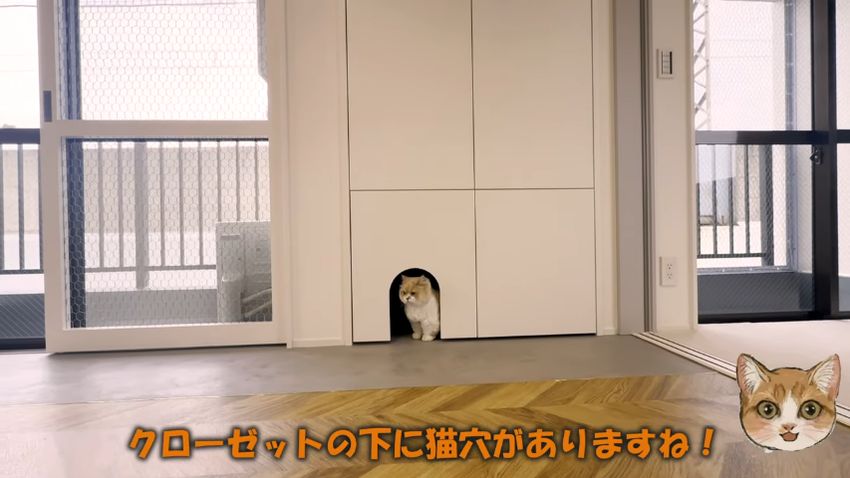 扉に穴があいている猫用クローゼット