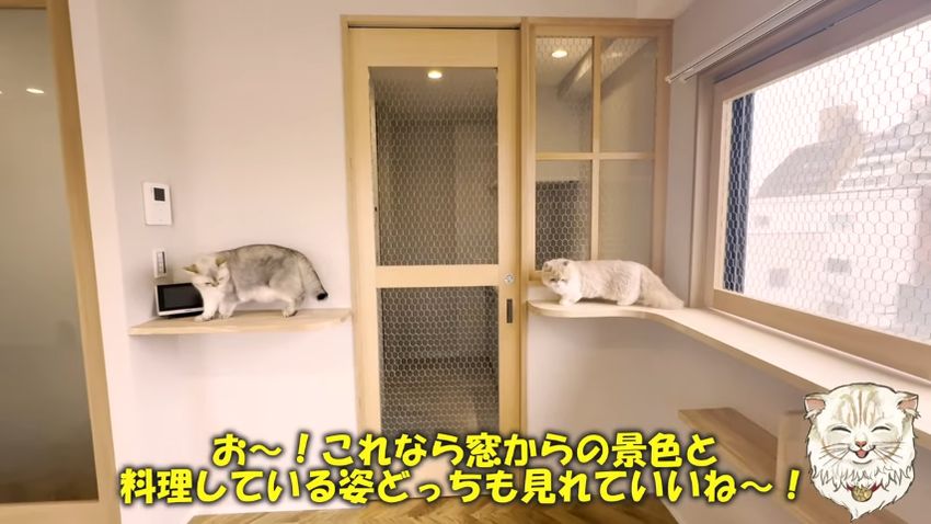 キッチンの扉とカウンター