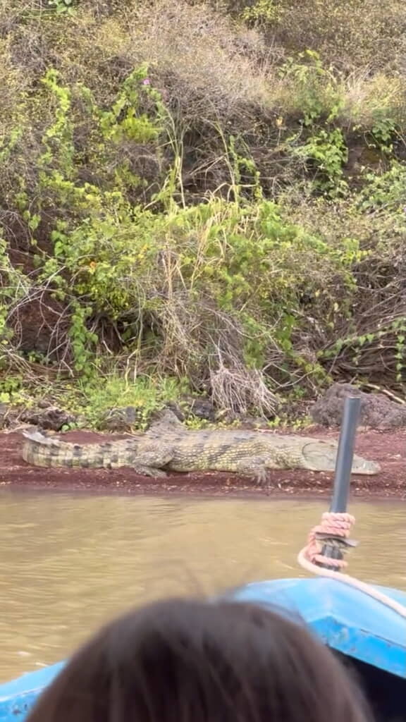 動画にはボートに同乗する子どもさんらしき姿も
