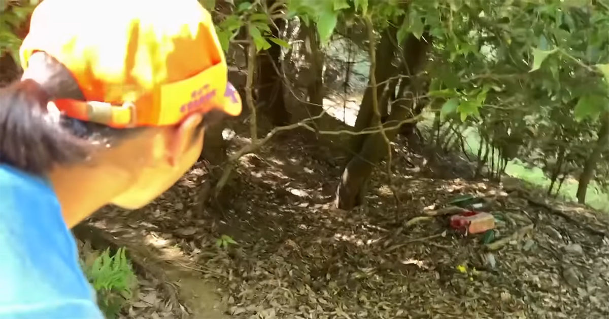 “いま日本で一番ヤバい害獣”をハンターが狙ったら……　想像以上の光景に「びっくりした」「かなり深刻だな」（1/3） | その他生き物 ねとらぼ