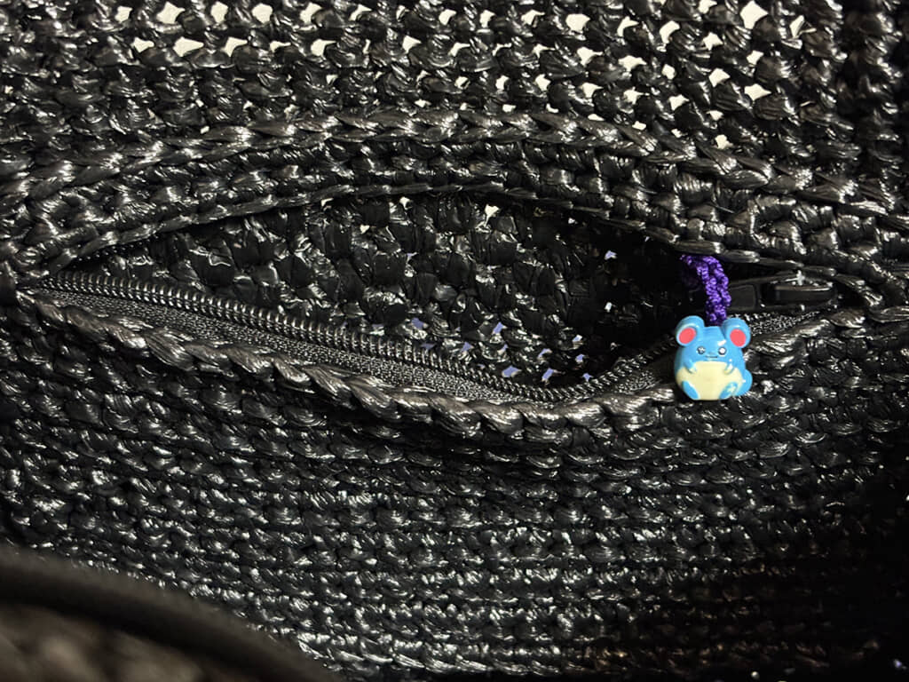 20年以上前のポケモンストラップを利用