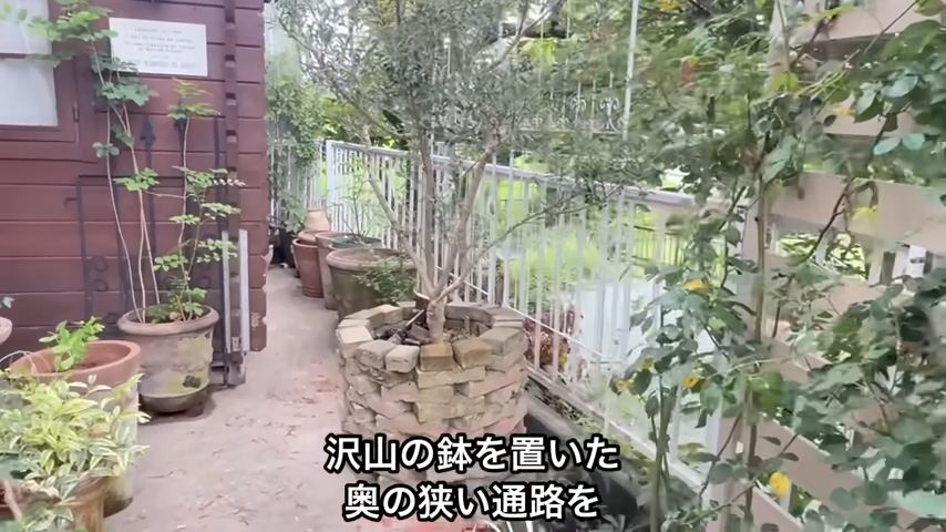 庭の狭い通路をバックヤードにDIY