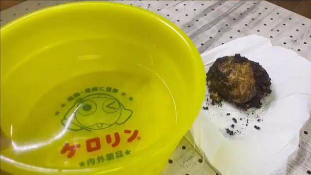 お風呂の準備完了