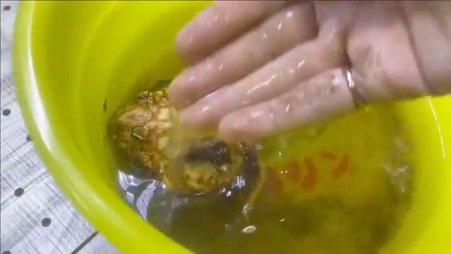 体をきれいにしてもらうみかんちゃん