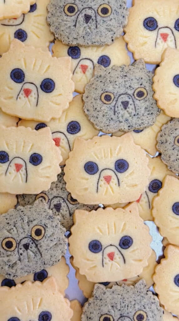 まだまだ進化しそうな予感！