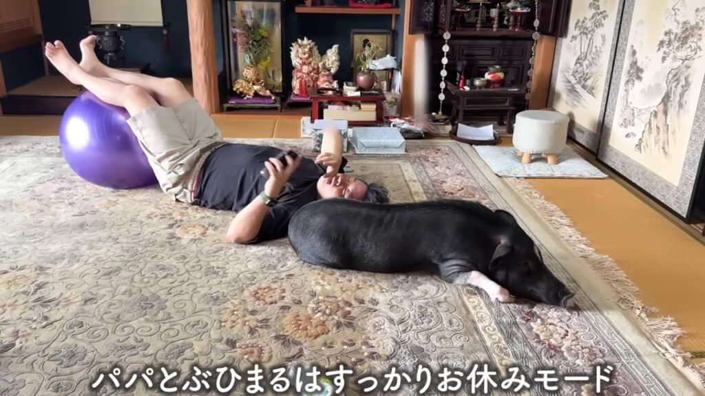 完全にくつろぎモードなパパとぶひまるちゃん