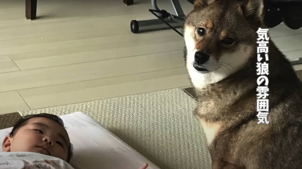 ふたりはいつも一緒