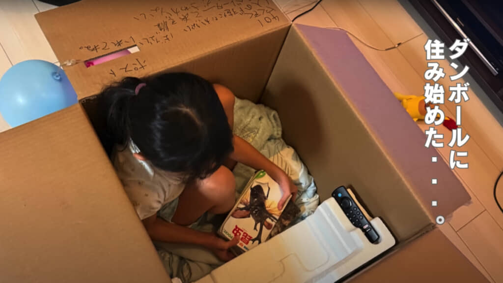 ダンボールに住み始めたり
