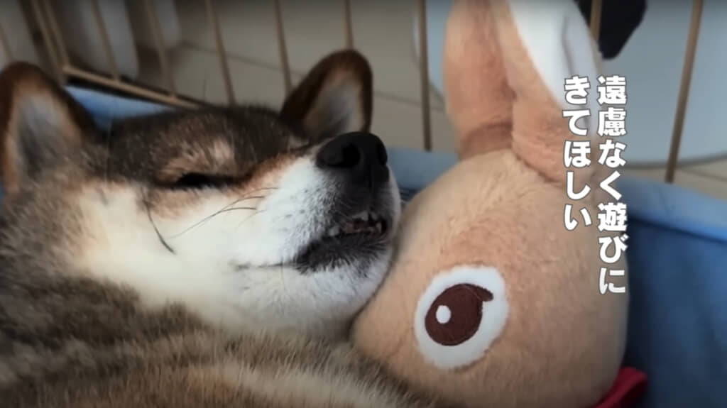 「遠慮なく遊びにきてほしい」