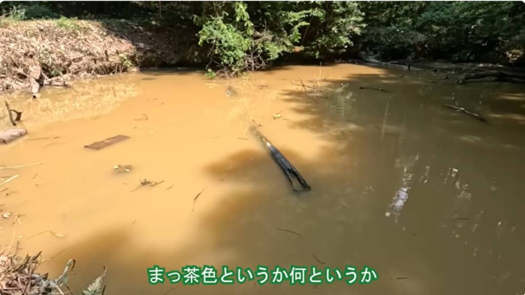 まっ茶色の池