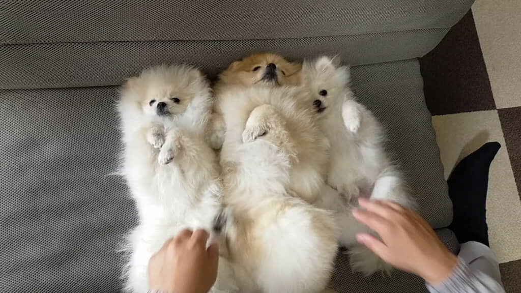 ママと一緒に川の字