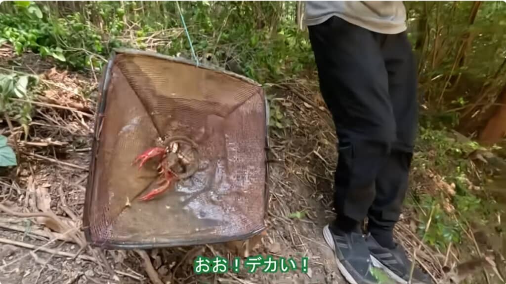 デカいザリガニ