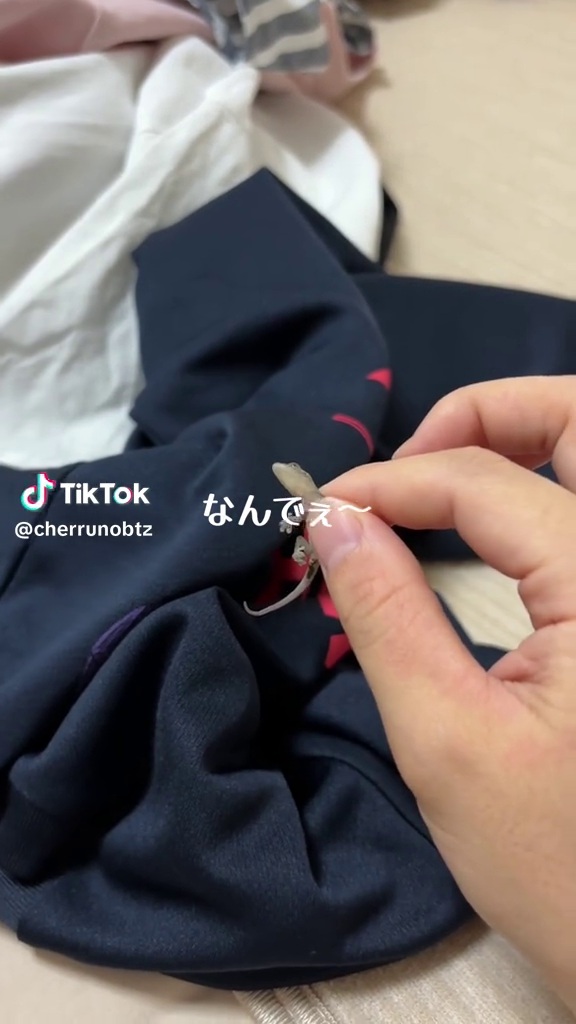 室内干ししていた洗濯物に入り込んでいたヤモリ