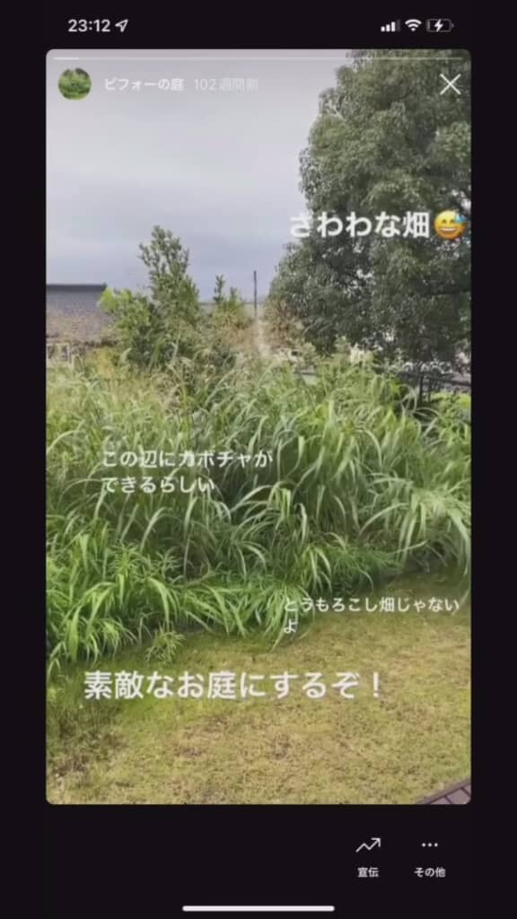 雑草で荒れ放題だった庭