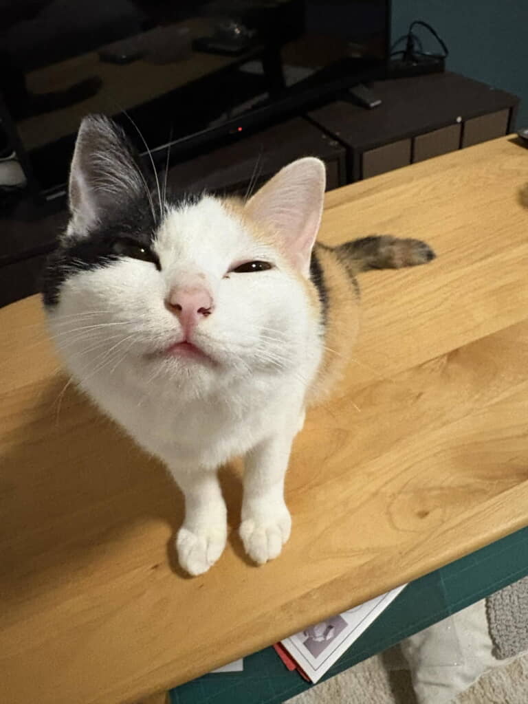 首を伸ばして目を細める海ちゃん