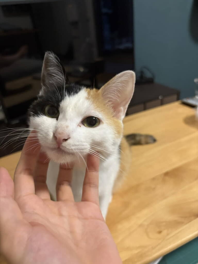 お望み通り喉をなでてあげるも……