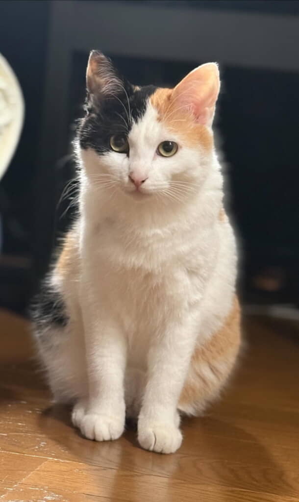 キラキラ海ちゃん