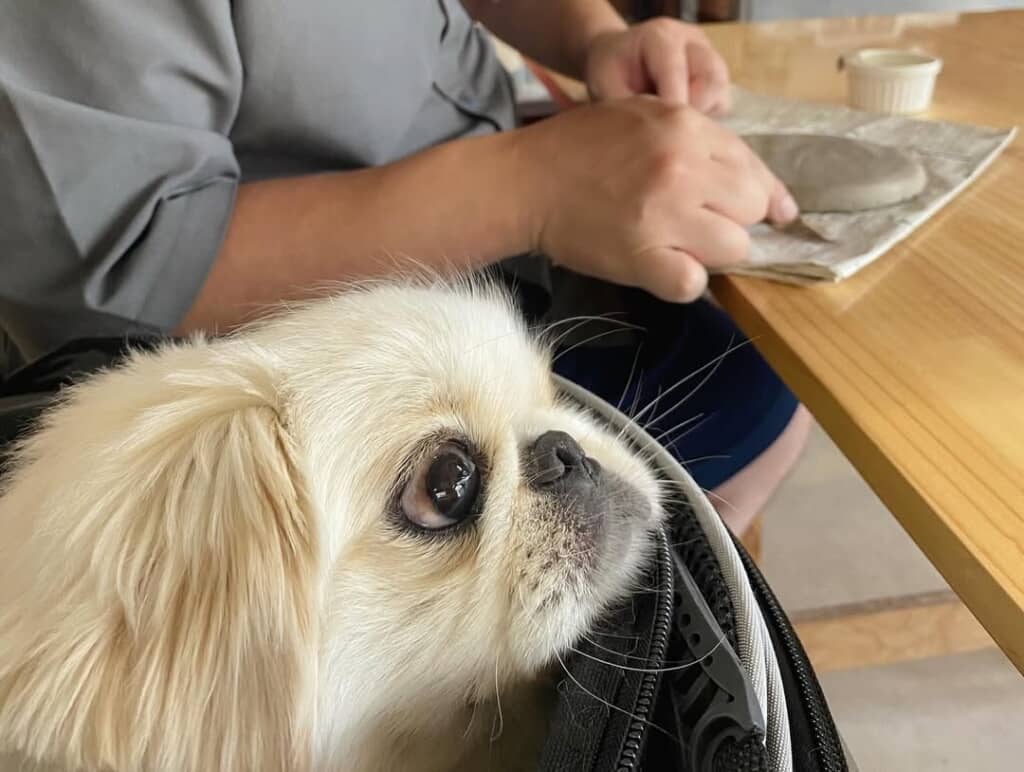 家族全員で陶芸体験に参加