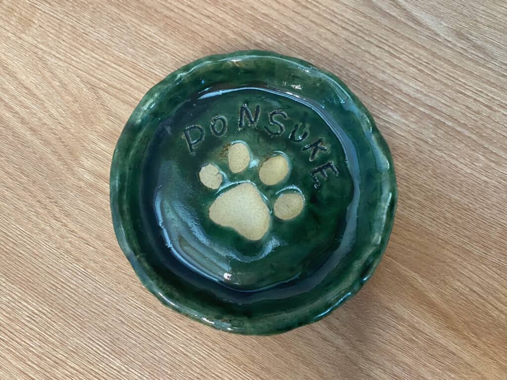 肉球アートがかわいいお皿