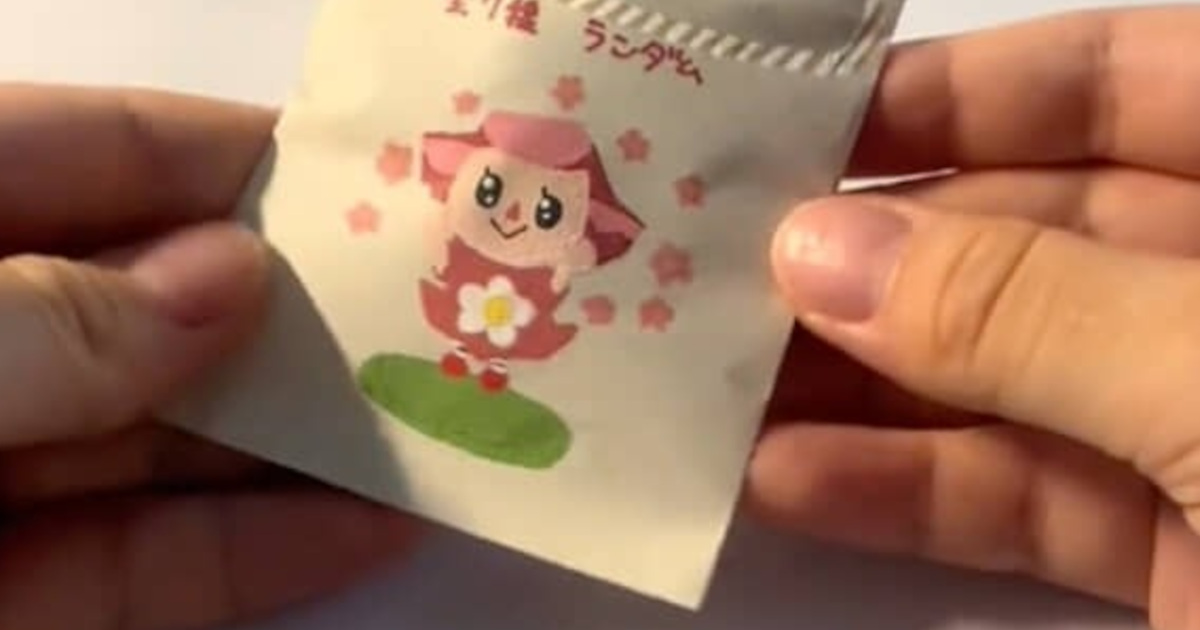 謎の「どうぶつの森」パッケージ→ぺりっと開けると…… 「すごおおお」 260万再生の“まさかのアイテム”に「過去一ほしい」と反響(1/3) | ライフスタイル ねとらぼ