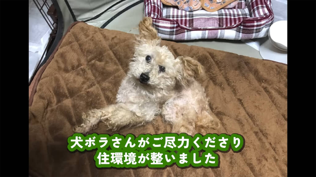 住環境が整いました