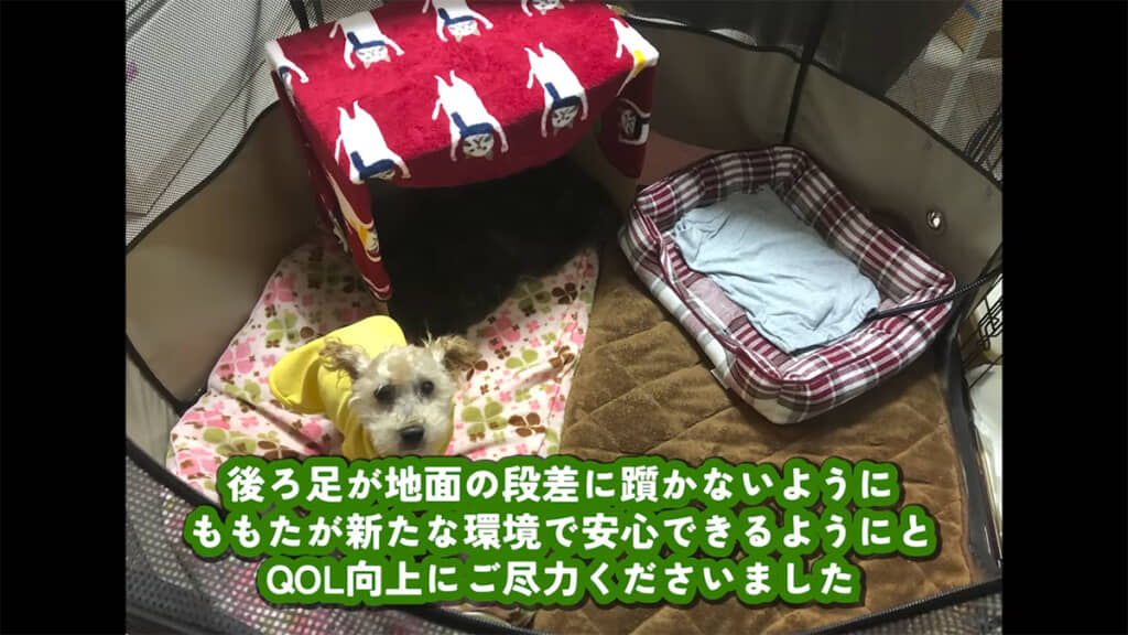 ボランティアさんの協力のもと、生活の質が向上していきました