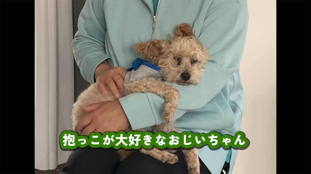 いっぱい抱っこしてもらってね