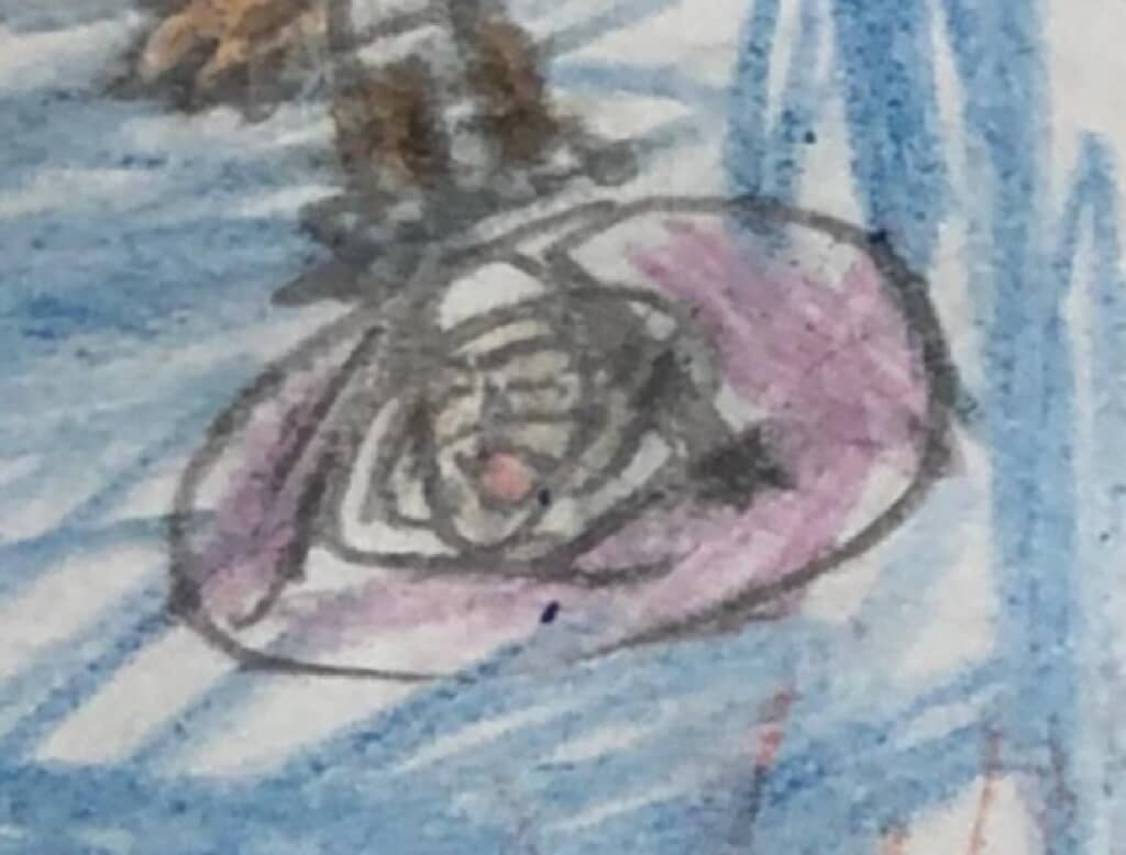 これがナフコさんだったのか！