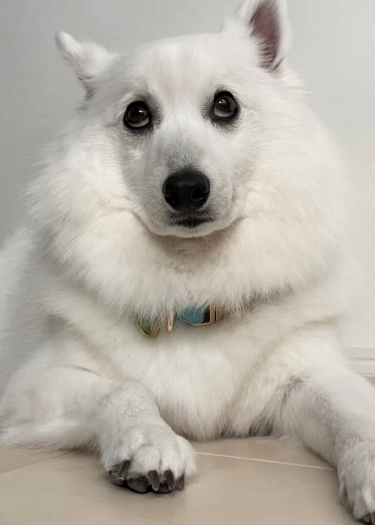 (お前にサンが救えるかなぁ……)