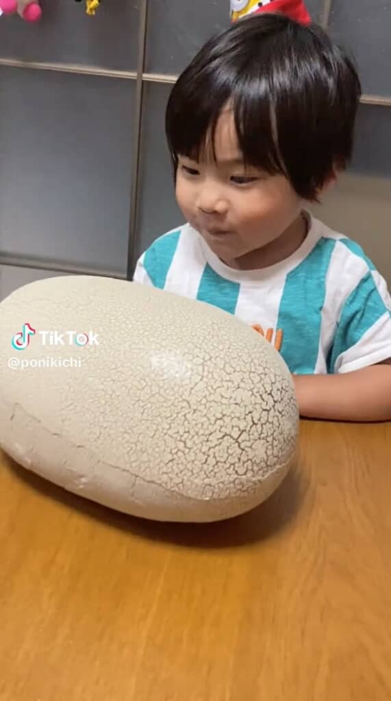 なんだろう……