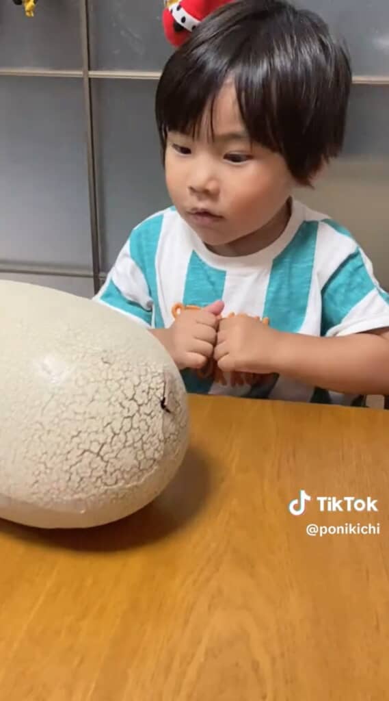 何が出てくるのかちょっと怖いな……