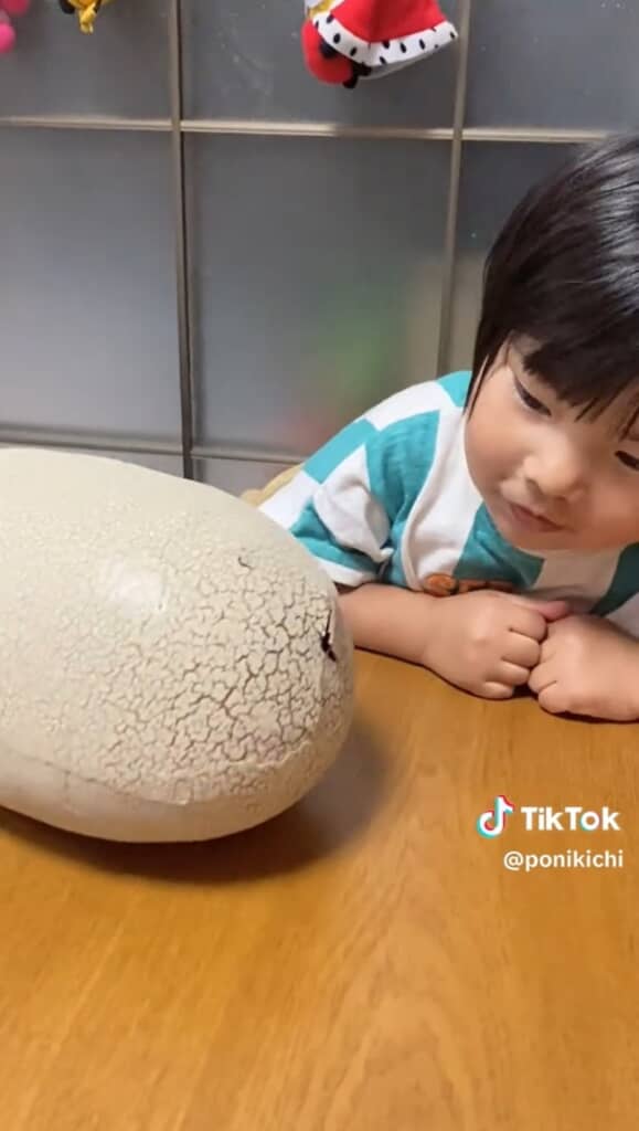 割れてきた……