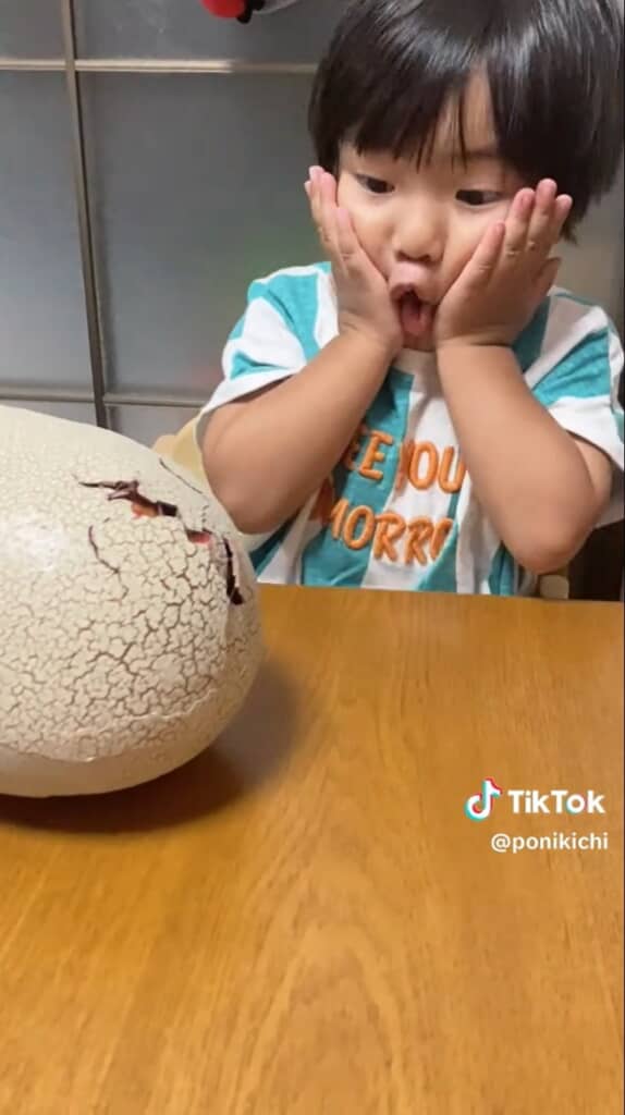 なんか見えた！