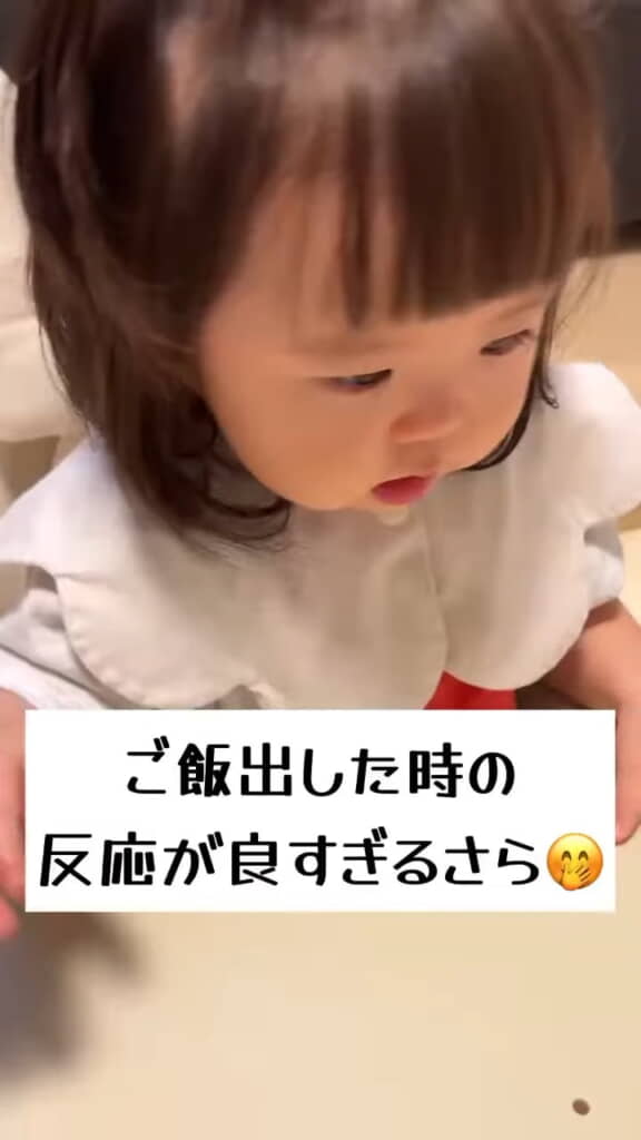 ごはんが出されたときのさらちゃん