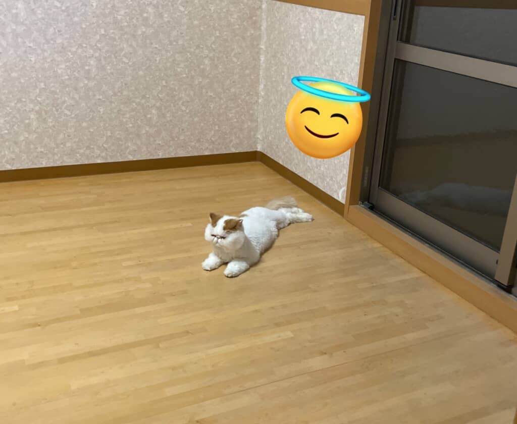 （何もなくなってしまった……）