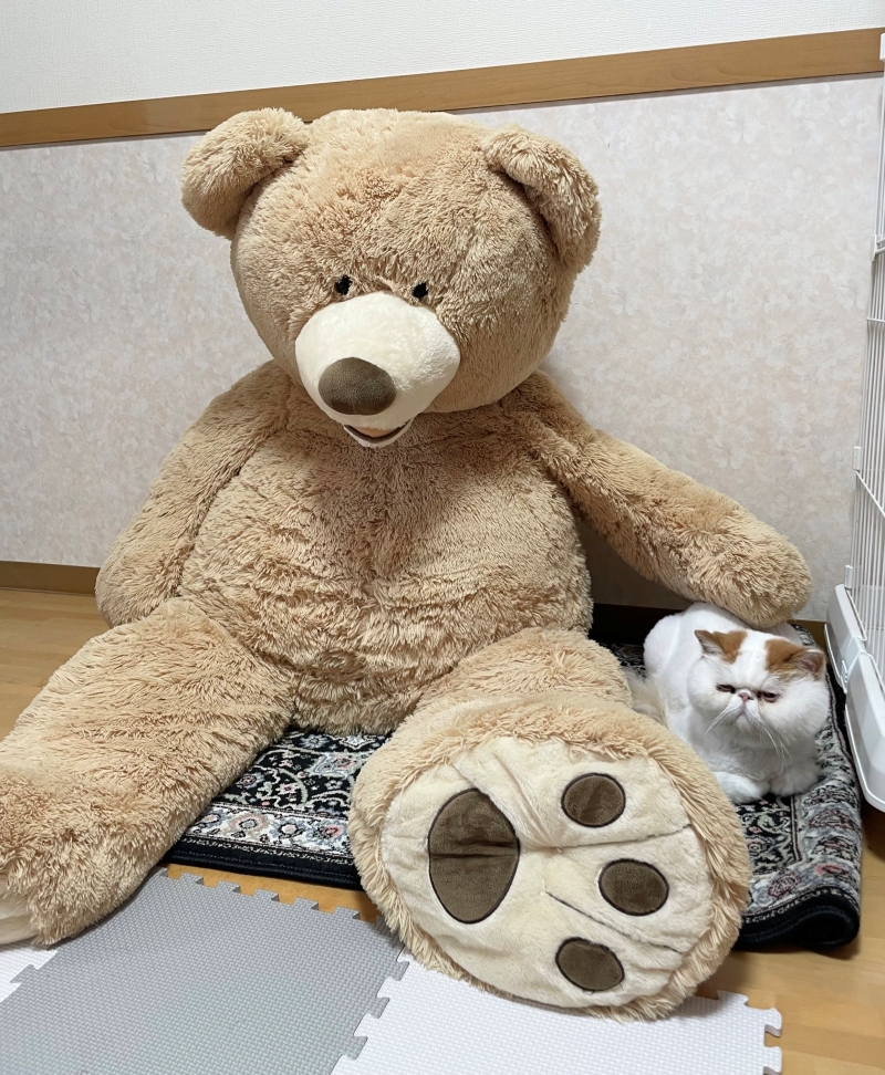 大きなお友達と仲良し