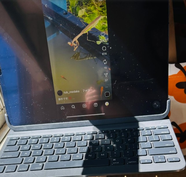 窓際で仕事をしていると……