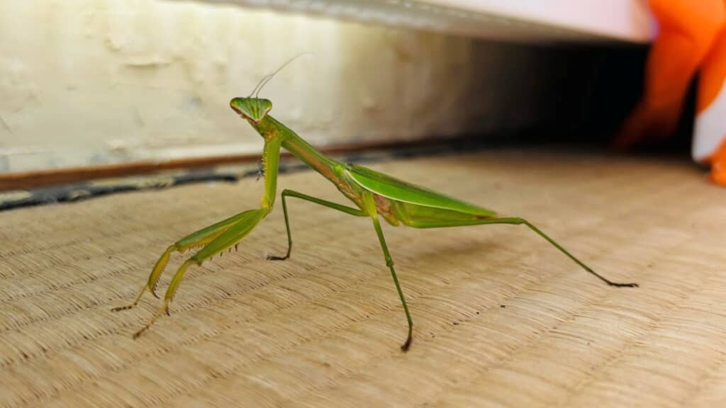 ポーズも決めてくれました