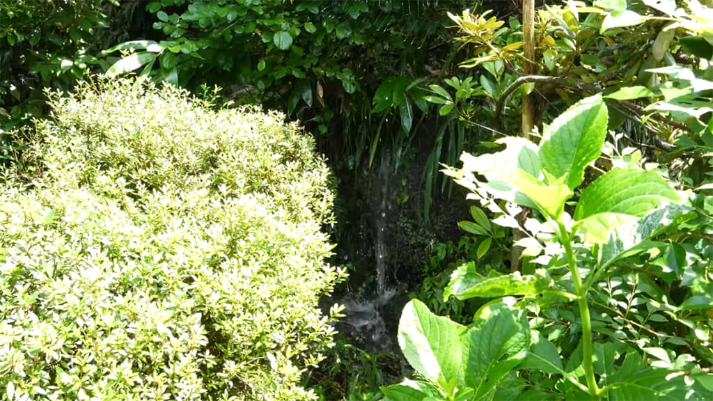 奥の方には小さな滝が