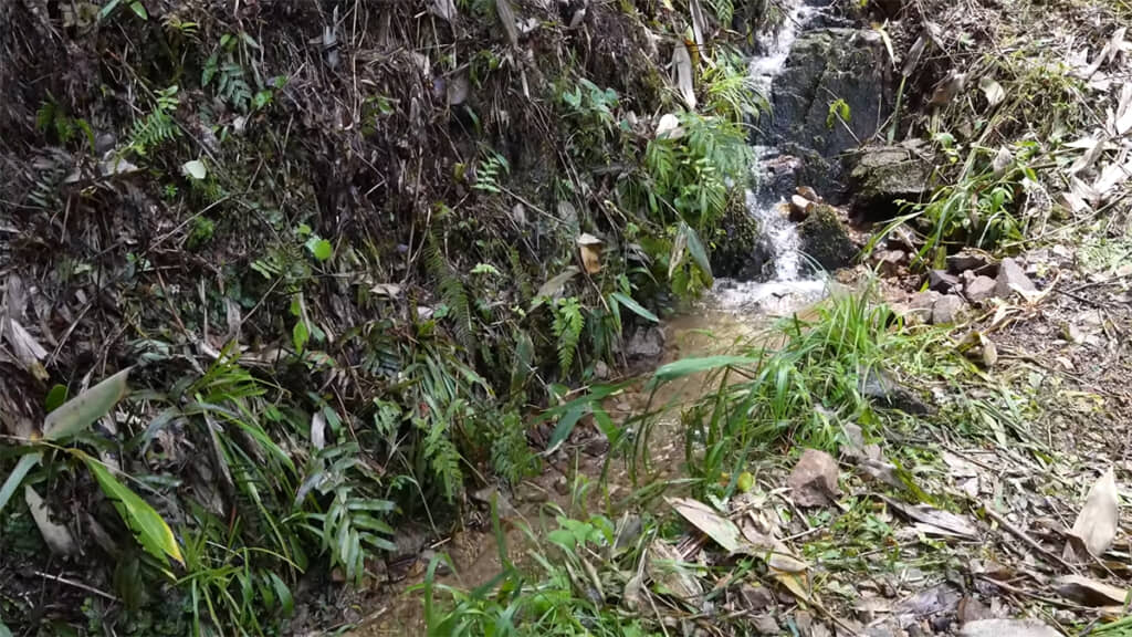事前に草刈りと掃除をして、水源を確保しておきました
