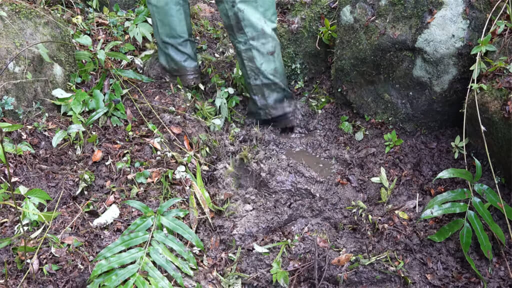 池だった場所にはヘドロがたまっていました