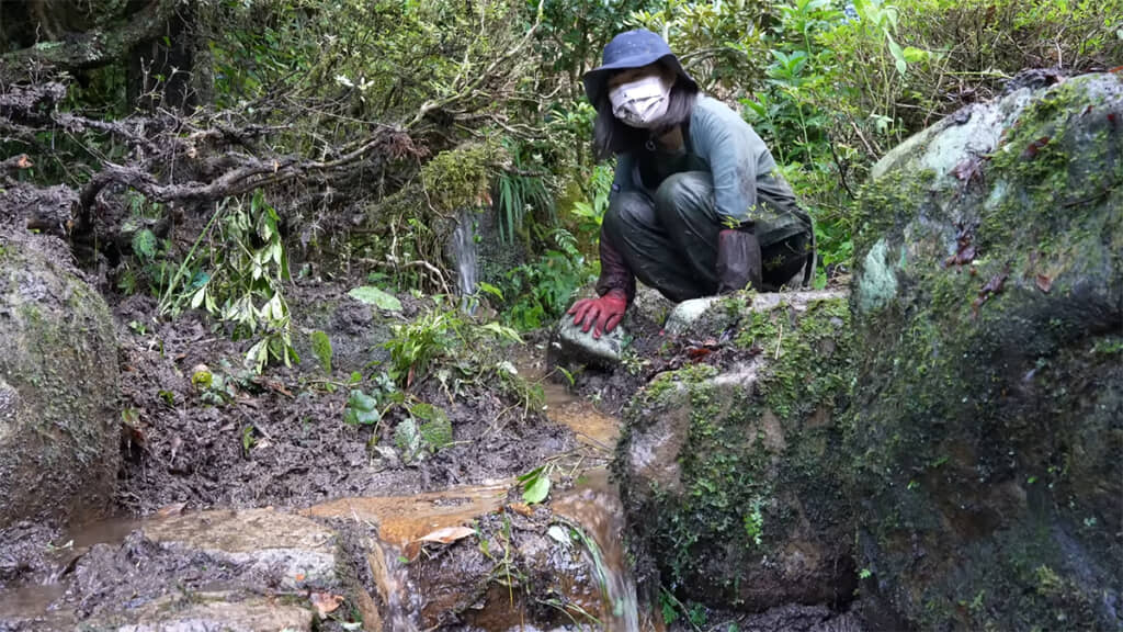 水源を開放すると……池に水が満ちていきます