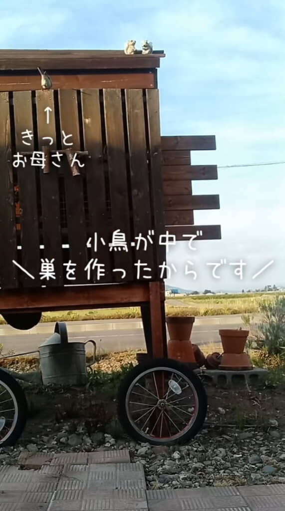 子育てに奮闘するお母さん鳥の姿を目撃