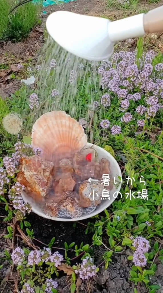 小鳥のための水場も手作り