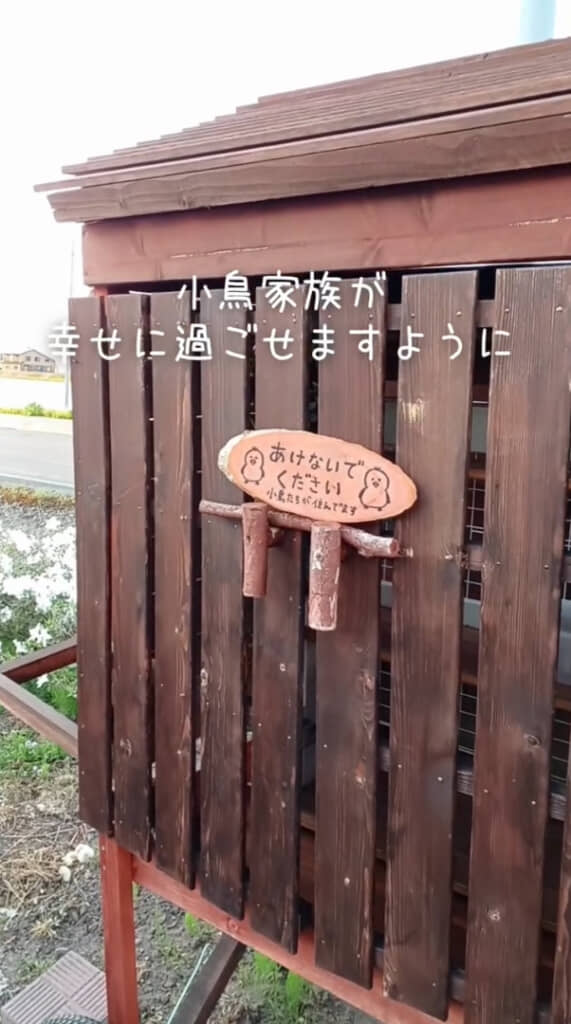 現在も小鳥の“マイホーム”として設置されているようです